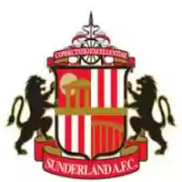 Free download sunderlandicon free photo or picture to be edited with GIMP online image editor
