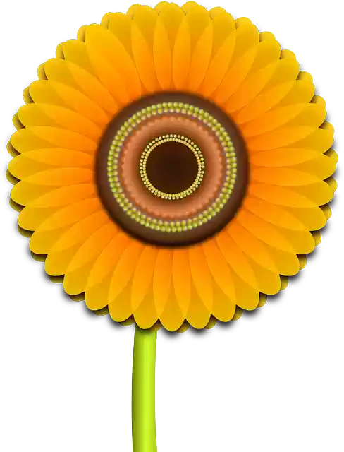 Free download Sunflower Flower Nature - Free vector graphic on Pixabay free illustration to be edited with GIMP free online image editor