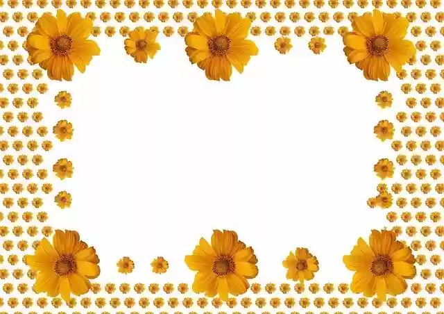 Free download Sunflower Photo Frame On -  free illustration to be edited with GIMP free online image editor