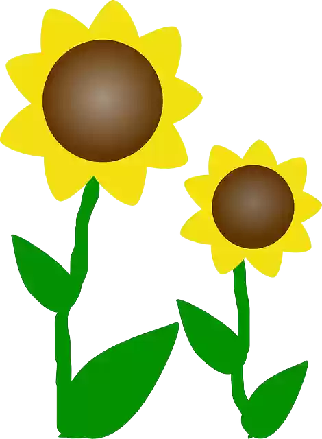 Free download Sunflowers Sun Flowers - Free vector graphic on Pixabay free illustration to be edited with GIMP free online image editor