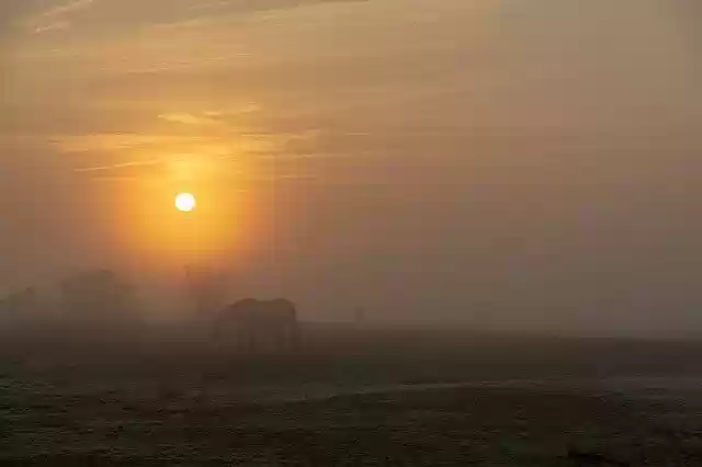 Free download Sun Horses Fog free photo template to be edited with GIMP online image editor