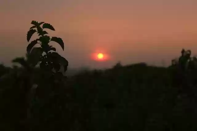 Free download Sun Light Black -  free photo or picture to be edited with GIMP online image editor