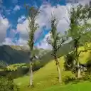 Sunlight on the lotus hill  screen for extension Chrome web store in OffiDocs Chromium