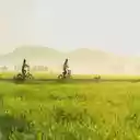 Sunlit Countryside Escape  screen for extension Chrome web store in OffiDocs Chromium