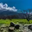 sunny peach garden  screen for extension Chrome web store in OffiDocs Chromium