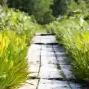 Sunny road and flowery grass  screen for extension Chrome web store in OffiDocs Chromium