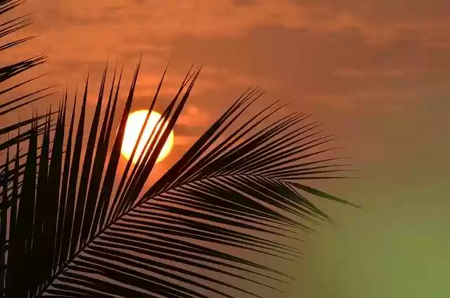 Free download sunrise akividu dh free picture to be edited with GIMP free online image editor