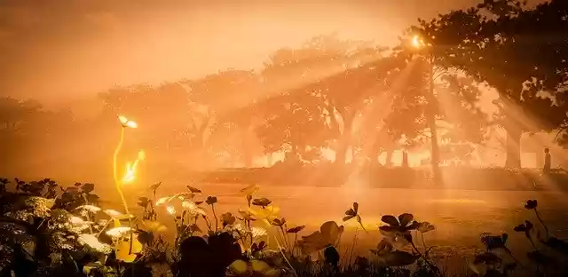 Free download Sunrise Computer Graphics Unreal 4 -  free photo or picture to be edited with GIMP online image editor