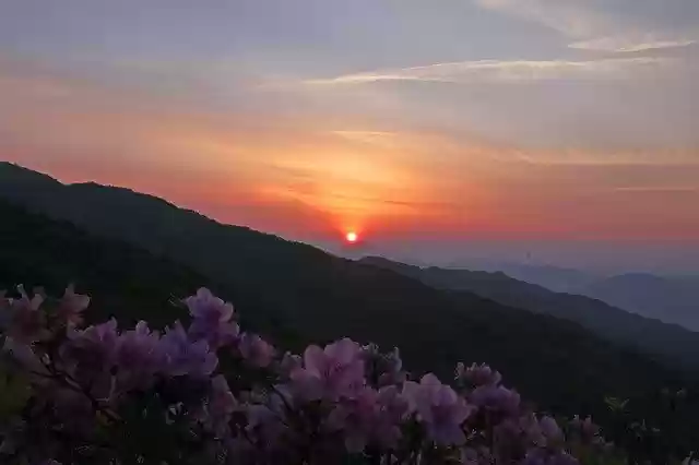 Free download Sunrise Flowers Sky -  free photo or picture to be edited with GIMP online image editor