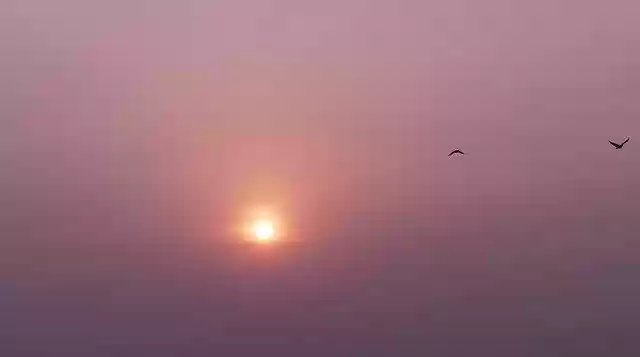 Free download Sunrise Morning Sun Sunset -  free photo or picture to be edited with GIMP online image editor