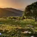 Sunrise Over Rolling Hills  screen for extension Chrome web store in OffiDocs Chromium