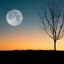 Sunset and chilling moon  screen for extension Chrome web store in OffiDocs Chromium