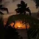 Sunset behind the coconut groves  screen for extension Chrome web store in OffiDocs Chromium
