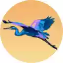 Sunset Birds !!  screen for extension Chrome web store in OffiDocs Chromium