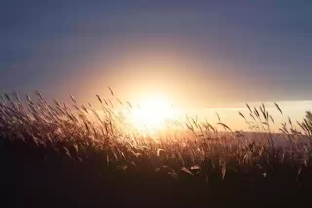 Free download Sunset Field Nature -  free photo or picture to be edited with GIMP online image editor