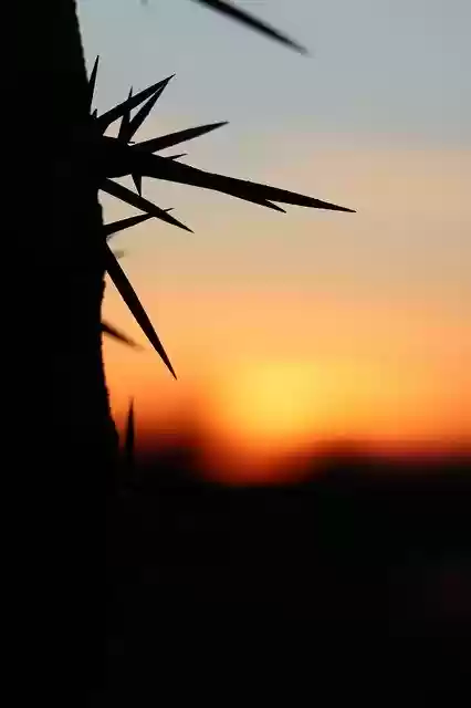 Free download Sunset In The Evening Red -  free photo or picture to be edited with GIMP online image editor