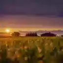 sunset in the fields  screen for extension Chrome web store in OffiDocs Chromium