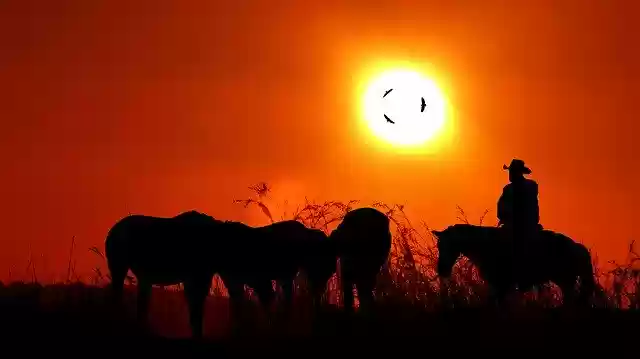 Free download Sunset Jumper Horses -  free illustration to be edited with GIMP online image editor