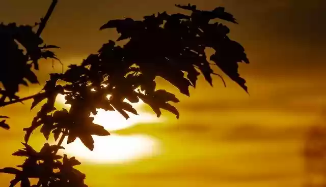 Sunset Landscape  screen for extension Chrome web store in OffiDocs Chromium