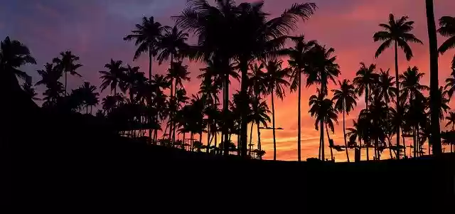 Free download Sunset Landscape Evening -  free illustration to be edited with GIMP free online image editor