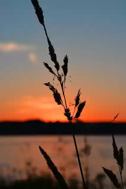 Free download Sunset Nature Horizon -  free photo or picture to be edited with GIMP online image editor