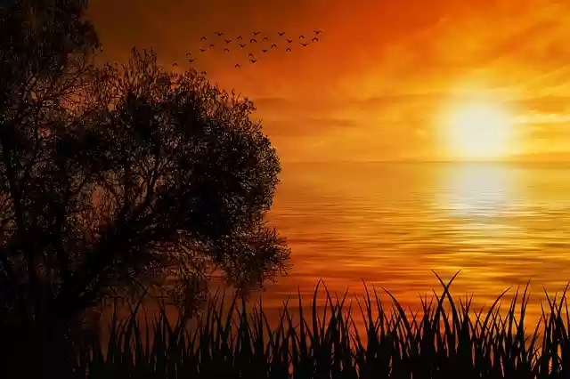 Free download sunset nature sun sea silhouette free picture to be edited with GIMP free online image editor