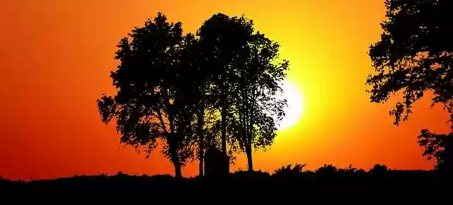 Free download Sunset Nature Trees -  free illustration to be edited with GIMP online image editor