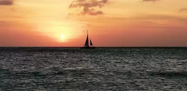 Free download Sunset Ocean Aruba Palm -  free photo or picture to be edited with GIMP online image editor