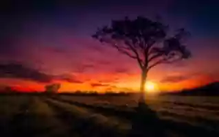 Free download sunset_scenery free photo or picture to be edited with GIMP online image editor
