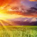 Sunset (Sielena theme)  screen for extension Chrome web store in OffiDocs Chromium