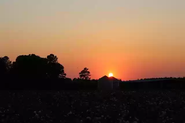 Free download Sunset Sky Cotton Field -  free photo or picture to be edited with GIMP online image editor