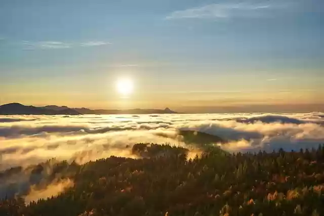 Free download sunset sunrise foggy forest free picture to be edited with GIMP free online image editor