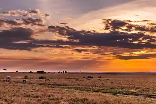 Free download sunset sunrise meadow twilight free picture to be edited with GIMP free online image editor