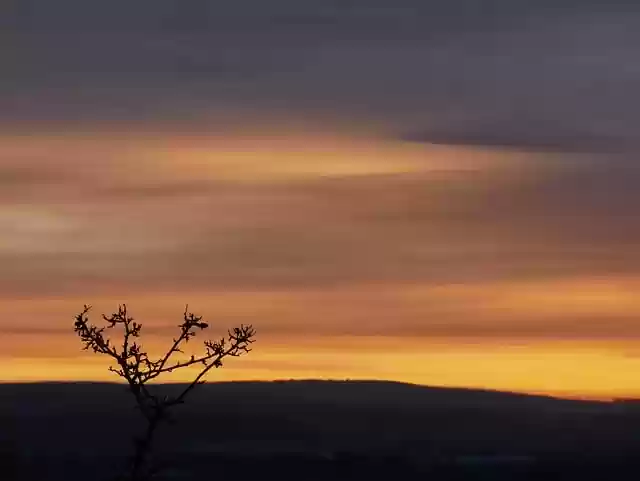 Free download sunset tree mountains silhouette free picture to be edited with GIMP free online image editor