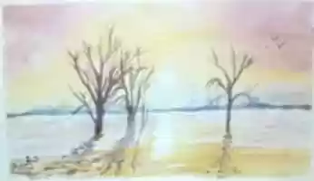 Free download sunset , trees & water free photo or picture to be edited with GIMP online image editor