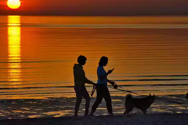 Free download sunset walking on the beach sea free picture to be edited with GIMP free online image editor