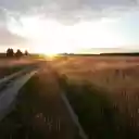 Sunshine on the small road  screen for extension Chrome web store in OffiDocs Chromium