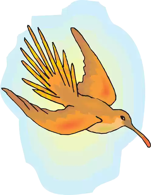 Free download Sun Sky Bird - Free vector graphic on Pixabay free illustration to be edited with GIMP free online image editor
