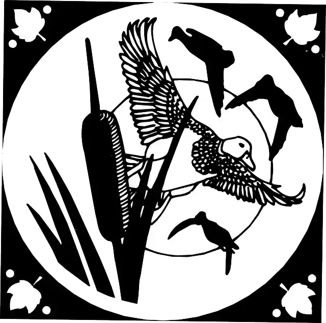 Free download Sun Sky Birds - Free vector graphic on Pixabay free illustration to be edited with GIMP free online image editor