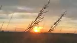 Free download Sun Sunset Field free video to be edited with OpenShot online video editor