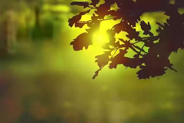 Free download Sun Sunset Sky free photo template to be edited with GIMP online image editor