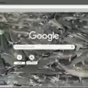 Suoi Ca Than Cam Thuy  screen for extension Chrome web store in OffiDocs Chromium