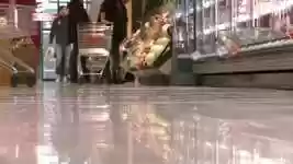 Free download Supermarket Shopping Shop free video to be edited with OpenShot online video editor