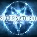 Supernatural  screen for extension Chrome web store in OffiDocs Chromium