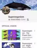 Free download Superorganism Music free photo or picture to be edited with GIMP online image editor