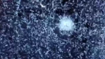 Free download Surco Ventana free photo or picture to be edited with GIMP online image editor