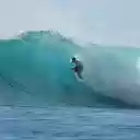 Surfing the sea  screen for extension Chrome web store in OffiDocs Chromium