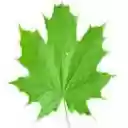 Sustainability  screen for extension Chrome web store in OffiDocs Chromium