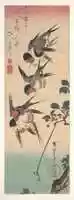Free download Swallows and Wild Cherry free photo or picture to be edited with GIMP online image editor