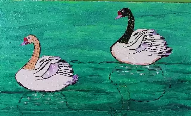 Free download Swans Volatile Etangs -  free illustration to be edited with GIMP free online image editor